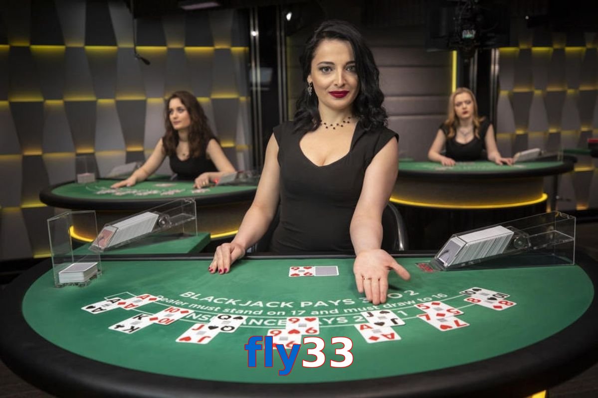 Fly33